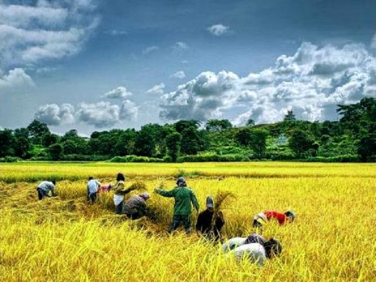 全自動鋪布機,全自動鋪布機廠家,鋪布機,拉布機,自動鋪布機,鋪布機